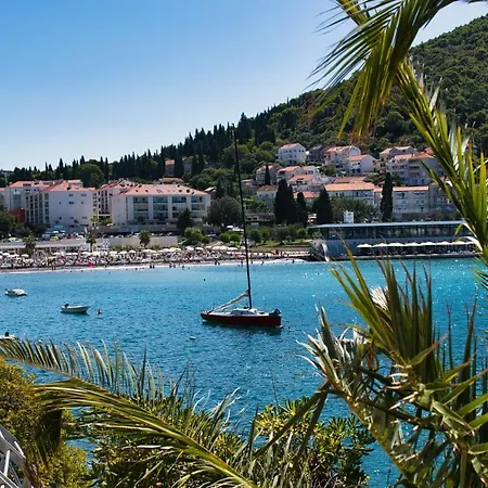 Glamour دوبروفينك